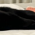 『電池切れ』してしまった…？ベッドにいる黒猫を見たら→絶妙すぎる『…