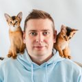 愛猫があなたの『肩に乗りたがる』3つの理由　甘えている？それとも踏…