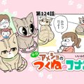 半分アメショのつくねとコナン【第124話】 「おやつ♪」