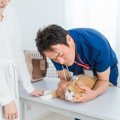 『猫カビ』を知っていますか？人にも移る皮膚糸状菌症の症状や予防法を解説