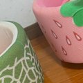 猫ベッドが3つ並ぶ部屋、夏用も冬用も揃えたのに…猫が選んだ『まさかの場…