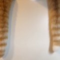 『しっぽの動きにも性格出るよねｗ』→並んで座る2匹の猫…全然違う『しっぽ…