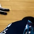 床を見たら、『遊び疲れた猫』と『仕事で疲れたパパ』が…思わず笑ってしま…