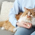 猫がかかりやすい『3つの病気』　見逃せない症状や予防法まで解説