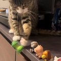 いつもフィギュアを落としていく猫→テープを貼って『対策』してみたら…可…