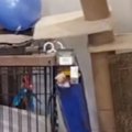 ふと『キャットタワー』を見ると、いつも通りくつろいでいたネコ…『と…