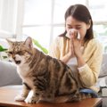 愛猫が『咳』をするときに考えられる病気5選　病院に即連れて行くべき？