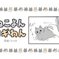 ねこよんコギわん【第25話】「シャアアア」