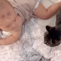ベビーベッドをこっそりと覗いたら、『赤ちゃんと猫』が…思わず笑顔になる…