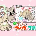 半分アメショのつくねとコナン【第13話】「モンスターズ」