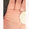 AIに手相を見てもらおうと思って手を撮ったら猫が……『予想外の瞬間』…