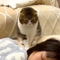休日の朝５時、リビングで寝落ちしたママ→猫が起こそうとして…思わず…