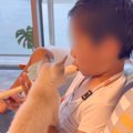 子猫に息子が『リコーダー』を聞かせてみたら…思わずキュンとしてしまう『…