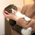 『寂しかったニャ〜…』いじけてしまった猫くん