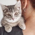 猫と暮らしてから気付く『理想と現実』のギャップ4選　想像以上に大変…