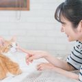 猫に『依存されやすい飼い主』の特徴や習慣5つ　起こりうるトラブルや…