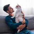 猫へ『愛情をしっかり届ける方法』3選　伝えるメリットや心がけるべき…