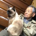おじいちゃんと野良のシニア猫が出会った結果…最期まで寄り添った『温かな…