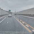 車の運転中、道路の端に『小さな子猫』を発見…驚きの瞬間と保護された『現…