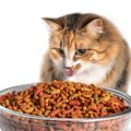 猫が『愛情不足』に感じてしまう飼い主のNG行為5つ