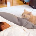 猫が『赤ちゃんと初対面』した結果…迎え入れる様子がまるで"人間…