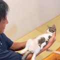 旦那が子猫のことを抱っこすると……思わず笑顔になる『可愛すぎる光景』が2…