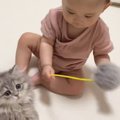 赤ちゃんが『赤ちゃん猫』の前で猫じゃらしを使った結果…思わず癒され…
