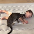 お昼寝している赤ちゃんのそばで…隣にやって来た猫がとった『まさかの…