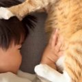 一緒に昼寝をしていた『猫と子ども』がお互いに…ニヤニヤが止まらない…