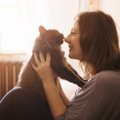 猫を飼うなら知っておくべき『終生飼養』の心得5つ　飼い主が守るべき…