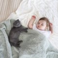 猫が飼い主を『子供扱い』している時にする行動3つ