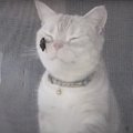 カメムシのにおいを嗅いだ猫ちゃんのリアクションとは？