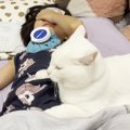 幼い頃からずっと仲良しな女の子と猫→女の子が『体調不良で寝込んでいる』…