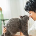 猫が『尊敬している人』にだけみせるサイン5選　リスペクトされる人の共通…