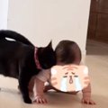 猫が『ママと離れて泣いている赤ちゃん』を見たら…まさかの行動が尊すぎる…