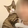 飼い主さんに向かってジャンプ！そのまま抱っこされてご満悦な猫ちゃ…