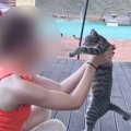 旅行先にいた『クレームの絶えない野良猫』を保護…幸せを掴むまでの話…