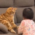 『赤ちゃんにちょっかいをかけられた猫』がとった行動…思わずほっこり…