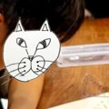 ７匹の猫が暮らす家→『勉強中の息子』の周りを見ると…集中力が凄すぎる『…