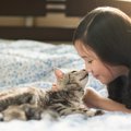 猫と『相性がいい』のってどんな人？5つの共通する特徴　猫との暮らしに向…