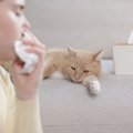 猫が持っている『怖い一面』3選　知っておくべきリスクや注意が必要なこと