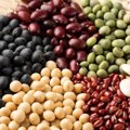 【獣医師監修】猫は豆を食べても大丈夫？食べていい豆・食べてはいけない…