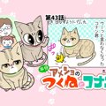 半分アメショのつくねとコナン【第43話】「コナンとオモチャ」