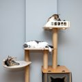 愛猫にぴったりな『キャットタワー』を選ぶコツ5つ　タイプ別の良い点…