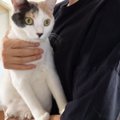 猫の抜け毛はどのくらい？5分間抱っこで検証してみた！