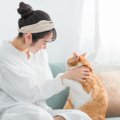 『抱っこ嫌いな猫』は何がイヤなの？7つの心理と、少しでも慣れてもらうた…