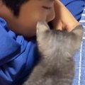 『大好きなお兄ちゃん』が帰ってくると…小さな子猫が見せた『可愛すぎる行…