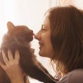 猫が『人の言葉』を理解しているとわかる4つの動作