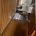 マットの下に『上手く隠れていたはずの猫』…すぐに居場所がバレてしま…
