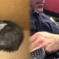 運命の猫と出会った警察官…人生のパートナーを得て幸せに♡